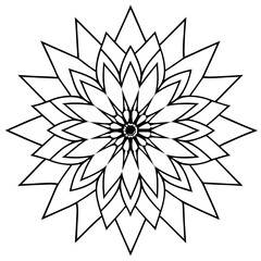 black and white flower