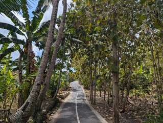 Bali, exotic island, holiday, indonesia