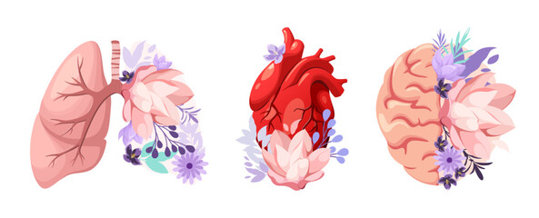 A set of human organs decorated with flowers. Lungs, heart and brain on a white background. Vector illustration.
