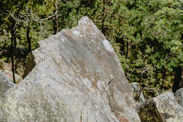 A close-up view of a large granite rock surrounded by green pine trees in a peaceful forest setting during daylight