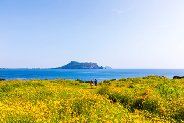 Seopjikoji Beach near Seogwipo-si, Jeju-do, Korea - May 29, 2019: Seopji means a place where many men with good talents are born, and Koji is a Jeju dialect meaning Cape.