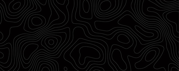 Wavy Line Geometric Design with a Topographic Map Pattern for Modern Digital Art and Graphic Illustration
