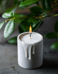 Burning candle in holder made of concrete. Green leaves of houseplant. Cozy home decor.