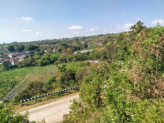 road with mountain background. rural road in mountain area with many trees which is cool and fresh