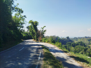 road with mountain background. rural road in mountain area with many trees which is cool and fresh