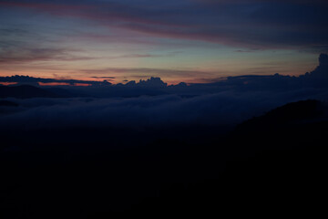Woman hand using phone taking photo beauty nature forest