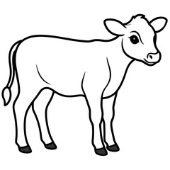 black and white sheep