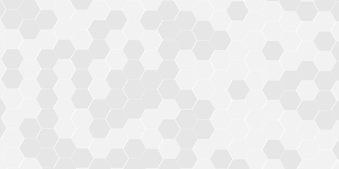 Fototapeta premium Abstract background with lines. Modern simple style hexagonal graphic concept. Background with hexagons