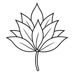 black and white flower