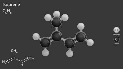 Isoprene (C5H8) is a volatile organic compound that appears as a colorless liquid. Produced by various plants and animals, its polymers are the primary component of natural rubber. 3d illustration