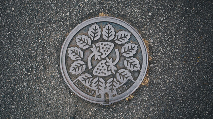 Izunokuni city metal manhole cover with strawberry design.