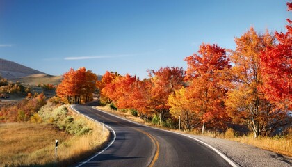 Fototapeta premium A winding country road lined with vibrant orange and red trees under a clear blue sky, creating a picturesque and inviting autumn landscape