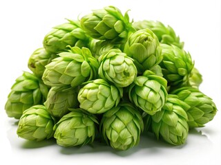 Fresh green hops cones piled together, ideal for beer brewing and bread making, captured in close-up photography on a bright white background.