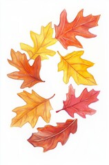 Obraz premium A Beautiful Artistic Combination of Autumn Leaves in Color