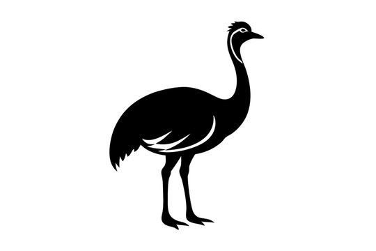 recommend clip art: cassowary vector icon with Transparent Background Clipart
