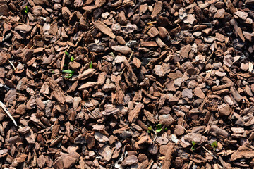 A ground covered in woodmulch