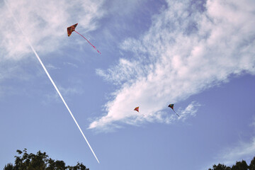 Flying Colorful Kites at the Park During a Cloudy Summer Day