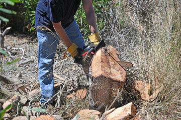 Man using a chain saw to remove a tree stump in his garden