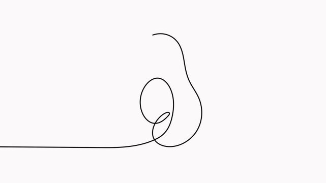 Avocado continuous one line drawing animated video. Hand drawn linear avocado animation.