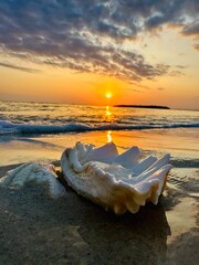 sunset on the beach © Raluca