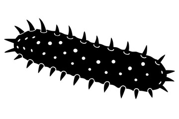 Sea cucumber silhouette. Vector illustration 