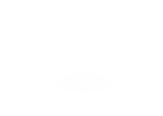 white gradient shadow transparent