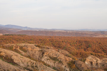 a panoramic view of autumn landscape with mountain hills surrounded by trees with yellow and red foliage at birtvisi canyon in georgia at a sunset light