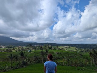 Bali, Indonesia, Rice fields, holiday, tourism