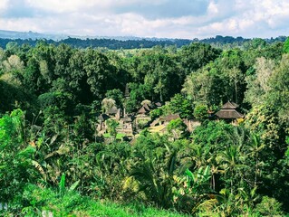 Bali, Indonesia, Rice fields, holiday, tourism