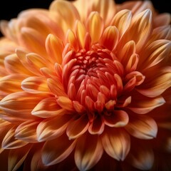 Autumn Flowers: Ultra-Realistic Petal Details in HD – Capturing Nature’s Beauty