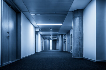 Modern Minimalist Hallway with Soft Lighting and Sleek Design