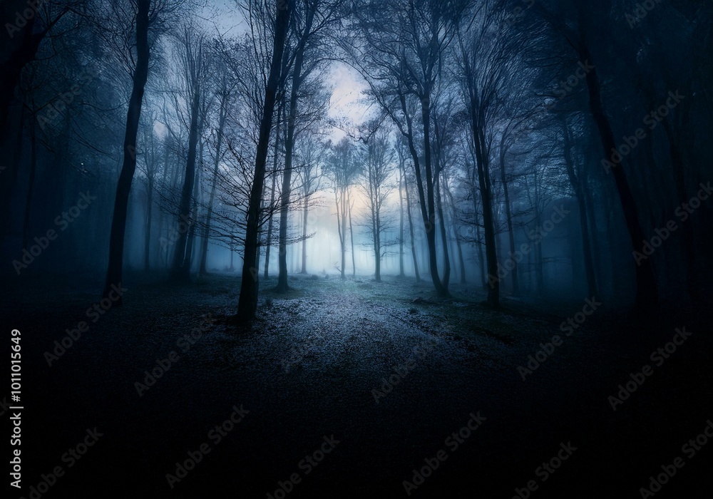 Poster a misty forest with a light glow in the distance.