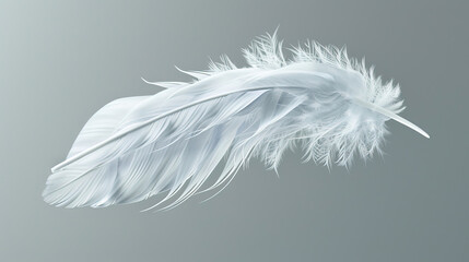 Fototapeta premium feathers. goose feathers