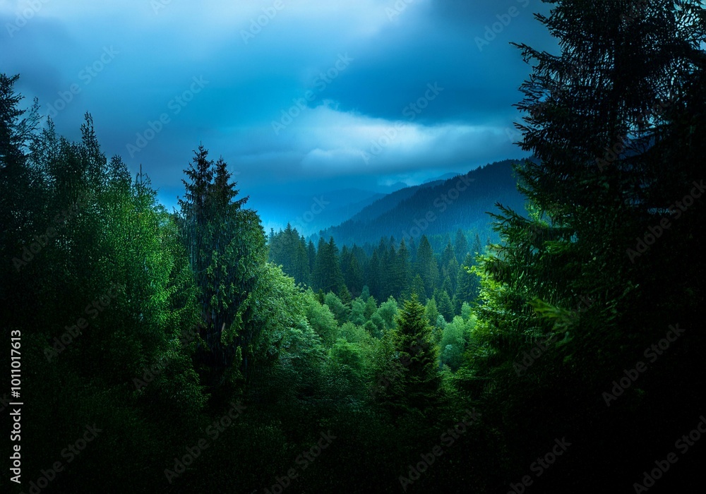 Poster a dense forest under a cloudy, blue sky with hints of rain falling.