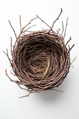 Obraz premium Simple Twig Nest Woven From Branches, Captured From Above on a Neutral Background