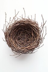 Obraz premium Simple Twig Nest Woven From Branches, Captured From Above on a Neutral Background
