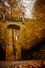autumn forest, fallen leaves, road in autumn forest, old bridge