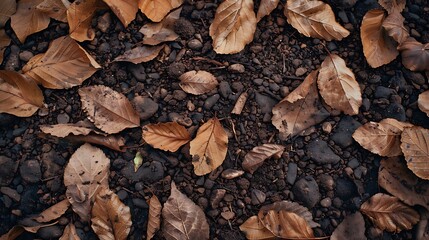Fototapeta premium Autumn leaves on ground background