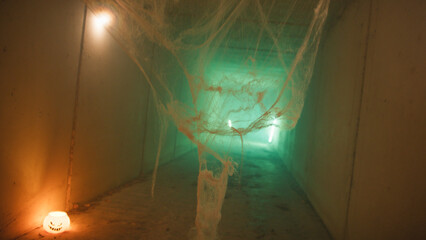 Details Of The Cobweb Hanging In The Tunnel