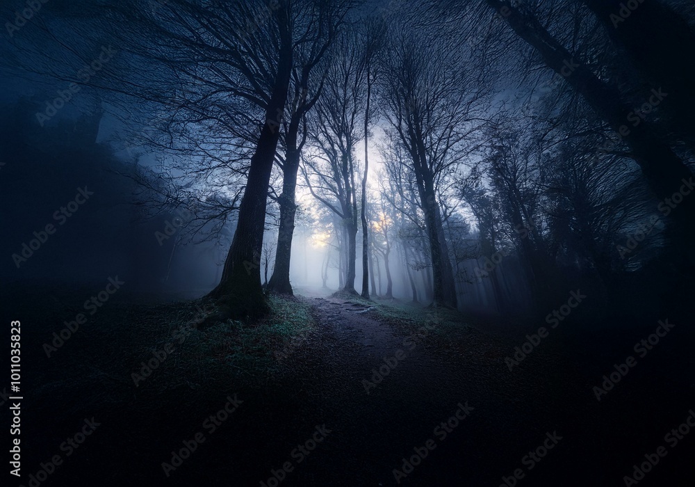 Poster a dark, misty forest path illuminated by a distant glow.