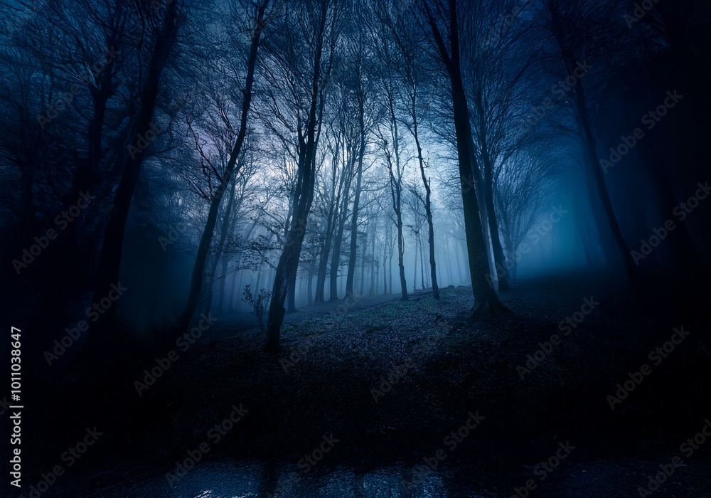 Poster a dark, mysterious forest with bare trees silhouetted against a hazy, blue sky. the ground is covere
