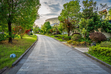Serene Walkway Through Green Park