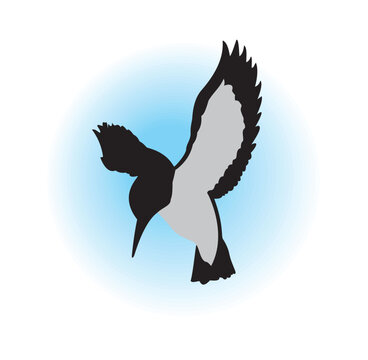 black and white bird flying blue background clip art preview