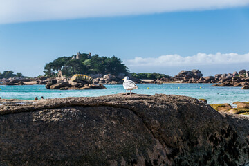Plage de Perros-Guirrec, Côtes-d'Armor, Bretagne, France.	