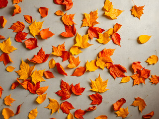 Autumn leaves background. Fall concept. Flat lay, top view