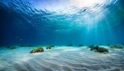Obraz premium A powerful underwater current pulling sand and marine life along the ocean floor beauty in nature art