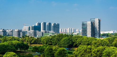 Fototapeta premium Modern Urban Skyline with Lush Green Park Landscape