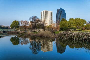 Serene Lakefront Urban Office View