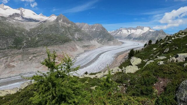 The large Aletsch Glacier in the Swiss Alps near Bettmeralp and Aletsch Arena - static shot