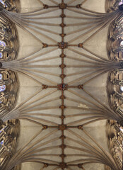 Ely, cathedral, plaster, ceiling, cambridgeshire